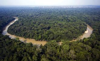 Essential Topics about Brazilian Environmental Legislation